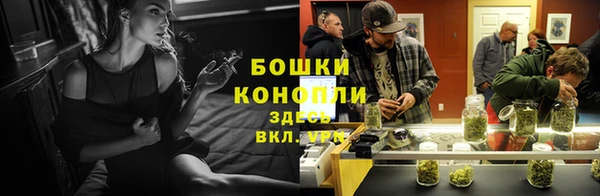 молекула духа Верхний Тагил