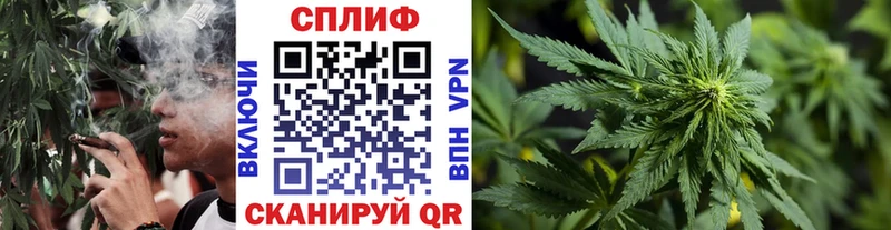Конопля THC 21%  Тольятти 